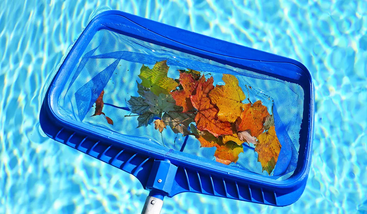 Pool servicing for Windsor and Essex County